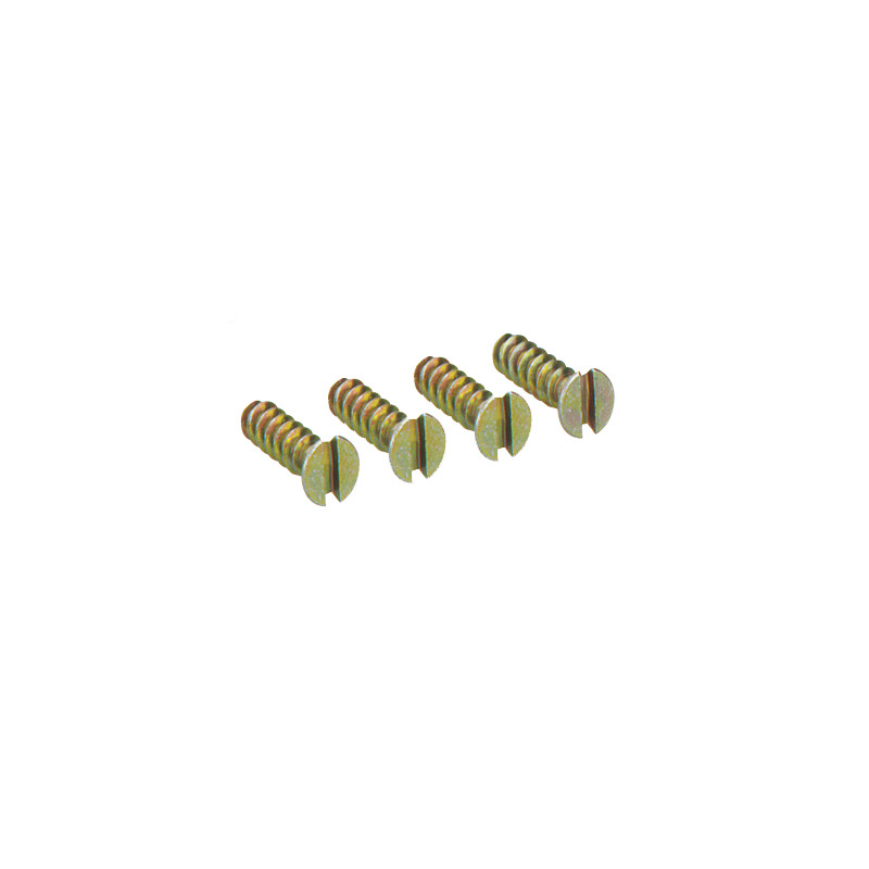 Rasiankiinnitysruuvi - ES-18